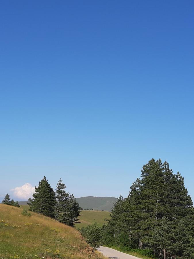 Apartman Gagi Zlatibor Kültér fotó